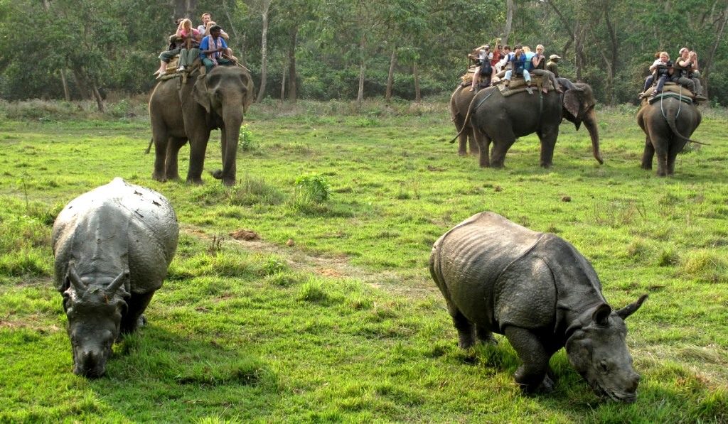 Chitwan-National-Park-Tour.