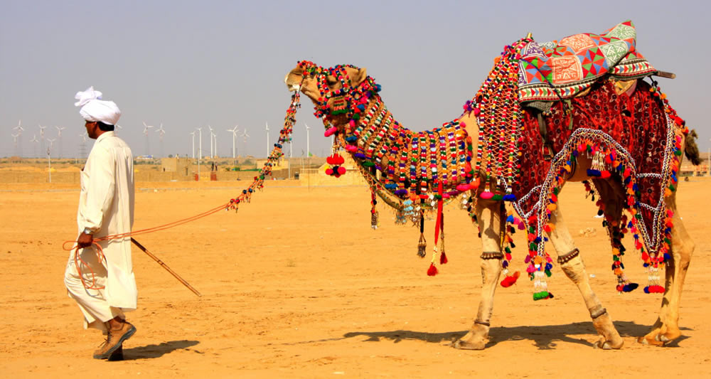 Jaisalmer-Desert-Safari