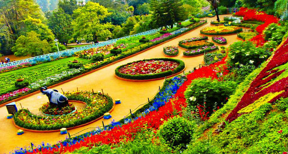 Ooty-Botanical-1