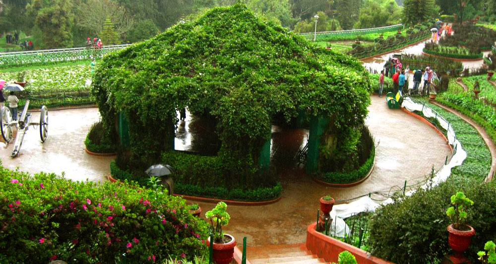 Ooty-Botanical-Gardens-Indi