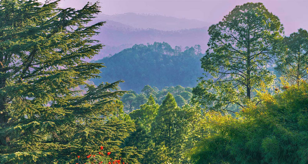 Sunrise-at-Ranikhet-Uttarak