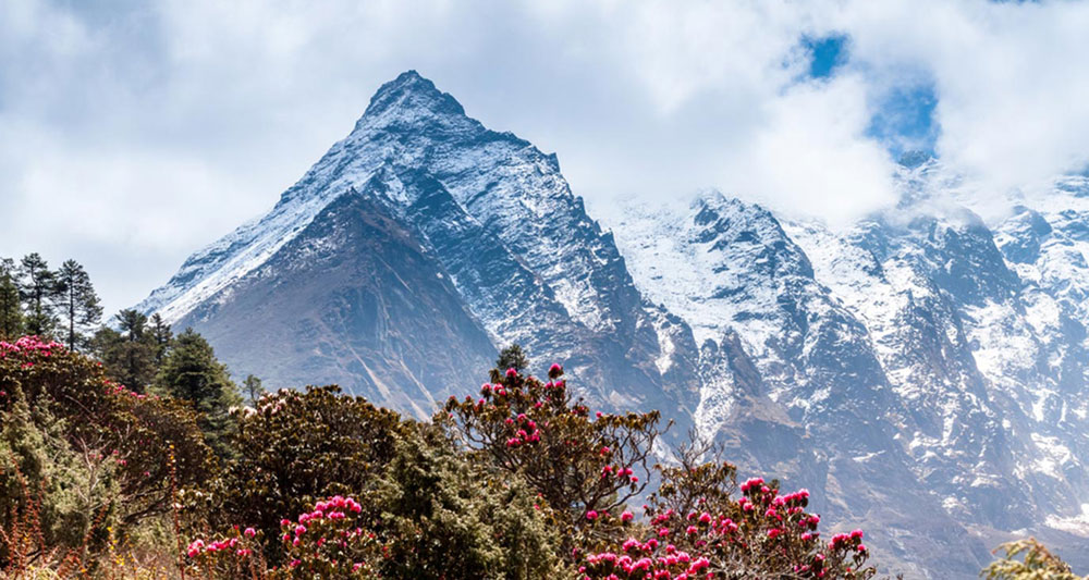 Yumthang-Valley-and-wild-rh