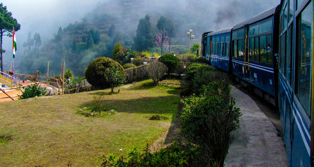 darjeeling