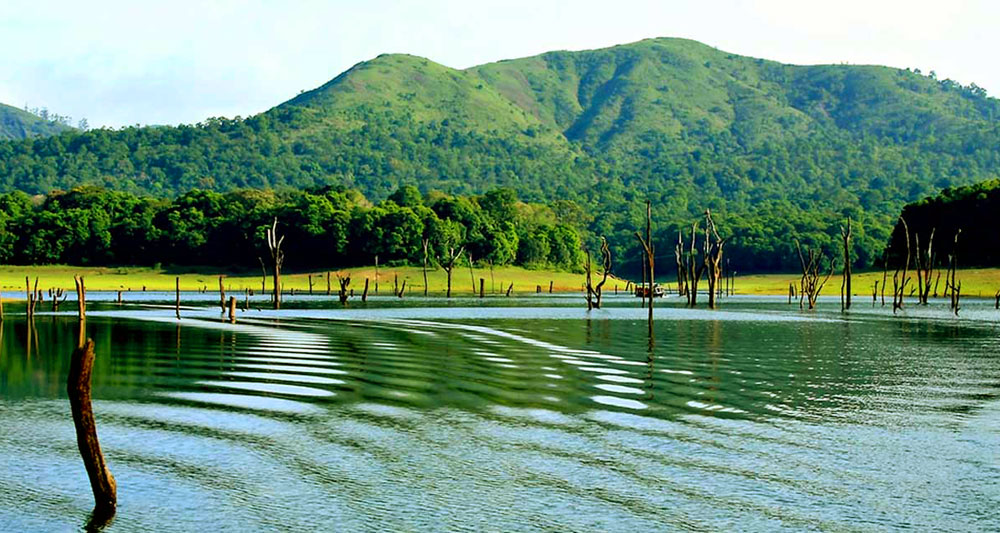 periyar-lake-thekkady-touri